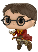 31 Harry Potter on Broom [Summer Convention]