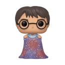 112 Harry Potter with Invisibility Cloak