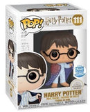 111 Harry Potter in (Invisibility Cloak)