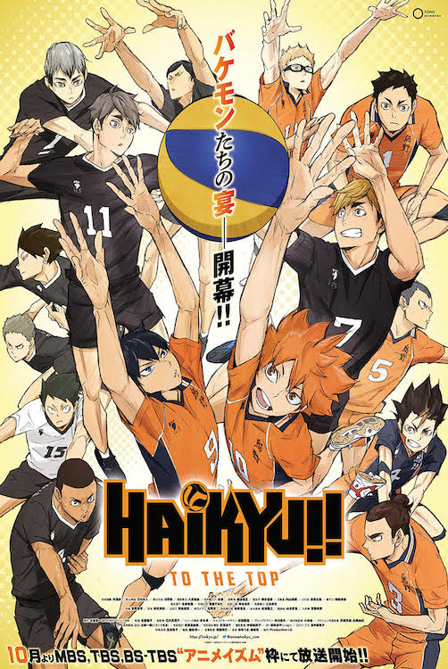 Haikyu! Premium Poster (Cardboard Back & Clear Bag)